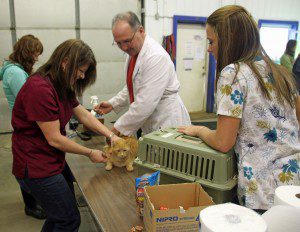 A rabies clinic took place at the Westfield Animal Shelter recently with a record turn out.  Dr William Faircloth was donating his time with shelter staff and volunteers.  (Photo submitted)  