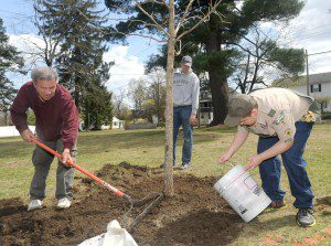 Community Development Director Peter Miller looks on as Gary Fitzgerald, a founding member of the Westfield Arboretum project and Eagle Scout candidate Jason Phillips plant a swamp oak at Holcomb Park Friday afternoon. (Photo by Carl E. Hartdegen)