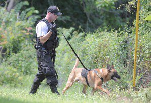 Southwick Police K-9 Officer Thomas Krutka and his K-9 partner Jax work the area near ECI Corporation on Mainline Drive in Westfield where the armed suspect was seen crossing Friday.The armed man robbed a Rite-Aid store on East Silver Street and fled on foot. (Photo by Frederick Gore)