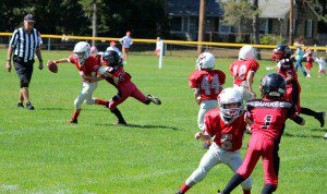 The Westfield Youth Football Pee Wees pressure the quarterback. (Submitted photo)