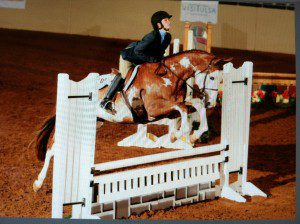 Taylor and Good Timing Tommy win reserve world champion in "hunter over fences."