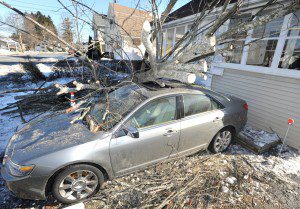 Although some of the limbs have been lopped off, the bulk of a tree which fell on a resident's car during a vehicular crash early Thursday morning remains atop the vehicle Thursday afternoon in the owner's Russell Road  driveway. (Photo by Carl E. Hartdegen)