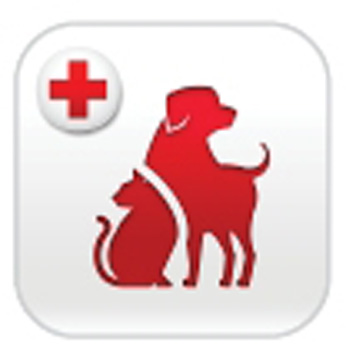 Red Cross offers pet first aid app | Westfield News 9,