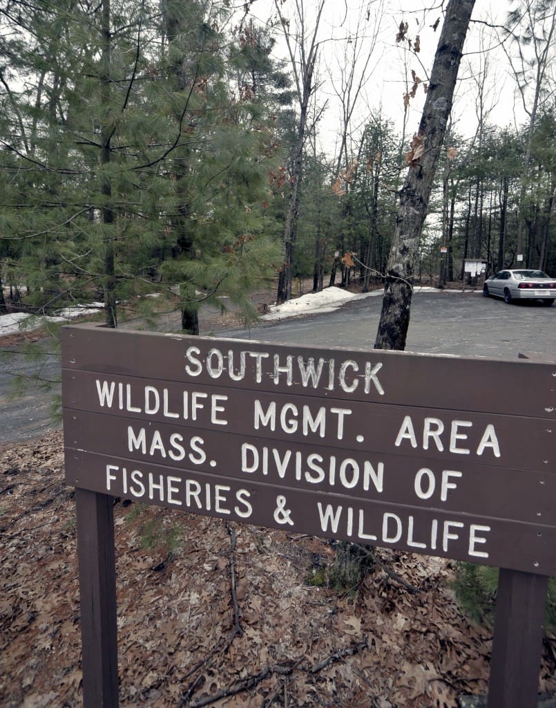 Mass Wildlife proposing dog regulations for wildlife management areas