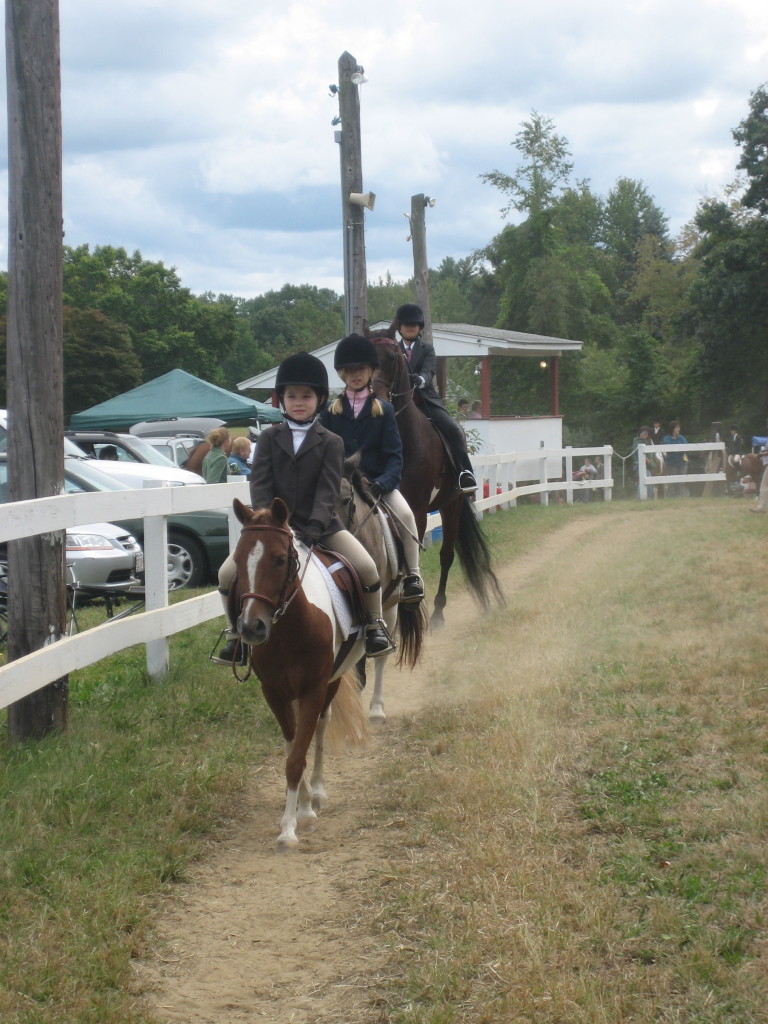 Westfield Riding Club Holds Horse Show The Westfield News May 28 14