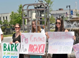 Katrina Tomecek, a student at Suffolk Law School, is flanked by other animal activists Tuesday morning as she stands in a human-sized version of an animal cage used on farms to confine breeding sows. The animal rights advocates visited Park Square Tuesday morning to show residents, and especially State Rep. John Velis, the highly restrictive cages which are targeted by a pending bill which will be considered by the committee of the legislature which Velis was appointed to. (Photo by Carl E. Hartdegen)