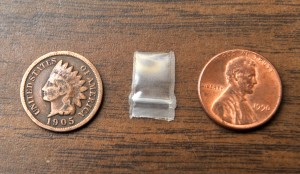 One of hundreds of tiny ziplock bags suspected to have been used to package narcotics is seen next to a U.S. coin for size reference. (Photo by Carl E. Hartdegen)