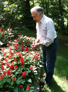At 98, Franklin Estes still enjoys tending to his garden. (Photo by Peter Francis)