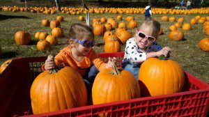 Coward Farms in Southwick on Sunday October 12. Nora and Jillian Andras.