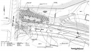 11 lot subdivision Wetland Details Northwest Road Subdivision Joseph Kelley 4 photo pack for Dan Con Com