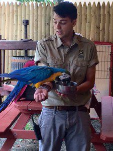 Nick from the Forest Park Zoo shows off Poncho, a blue and gold Macaw. (Photo by Hope E. Tremblay)
