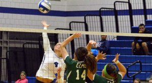 Shannon Shea led the Westfield State women's volleyball team with seven kills. (WSU File Photo)