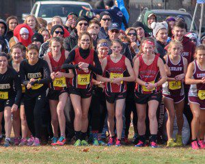 The Westfield High School girls' cross country team prepares for the start of the Western Massachusetts Division I race Saturday at Stanley Park. (Photo by Marc St. Onge)