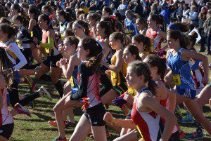 ...And they're off and running at the MIAA state cross country championships Saturday at Stanley Park. (Photo by Lynn F. Boscher)