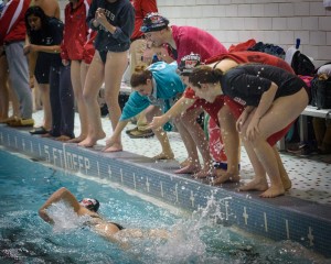 Swimmers for Westfield High School cheer on their teammates Tuesday against visiting Longmeadow. (Photo by Marc St. Onge)