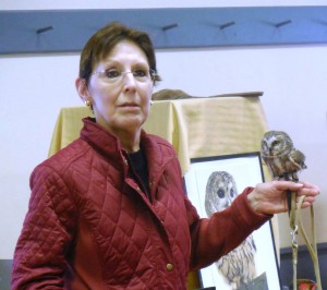 Licensed raptor rehabilitator Julie Collier brought live owls to the Montgomery Town Library for a program on Monday. Shown is the saw-whet oil, "the world's cutest owl," Collier said. (Photo by Amy Porter)