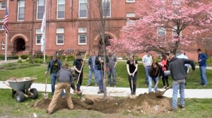 Westfield Technical Academy students  and teachers lend a hand in planting the tree (Photo by Lynn Boscher)