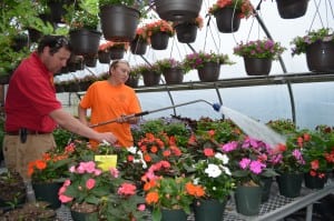 David Dion, horticulture technologies instructor at Westfield Technical Academy, reviews the status of plants with student Gavin Knightly for an upcoming plant sale.