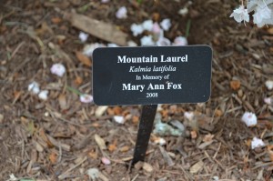 The Providence Arboretum was officially dedicated and blessed on Sunday on the grounds of the Genesis Spiritual Life & Conference Center. Each tree and plant now has a designated plaque. The family of Mary Ann Fox, who passed in 2008, had purchased a mountain laurel in her memory that same year since she had been a volunteer tending to the plants on the Genesis grounds for many years.