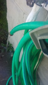 A hose running, wasting water. 