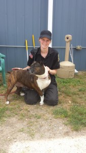 Margaret Terklesen with Bonnie, a pitbull mix at the shelter that is receiving care, originally found in Easthampton.