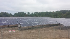 A portion of the solar panels on Russellville Road