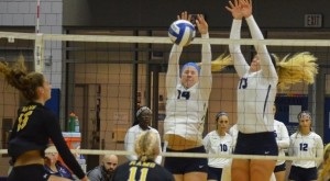 The Westfield State women's volleyball team split a tri-match this past weekend. (Photo courtesy of Westfield State University Sports)