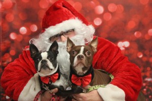 Chip and Ollie Pascuzzi have their close-up with Santa Claus.