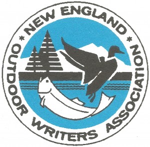 NEOWA Logo 001 - Copy
