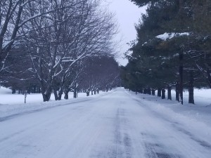 A photo of Shaker Road after Thursday's storm, which caused cancellation of schools and municipal offices.