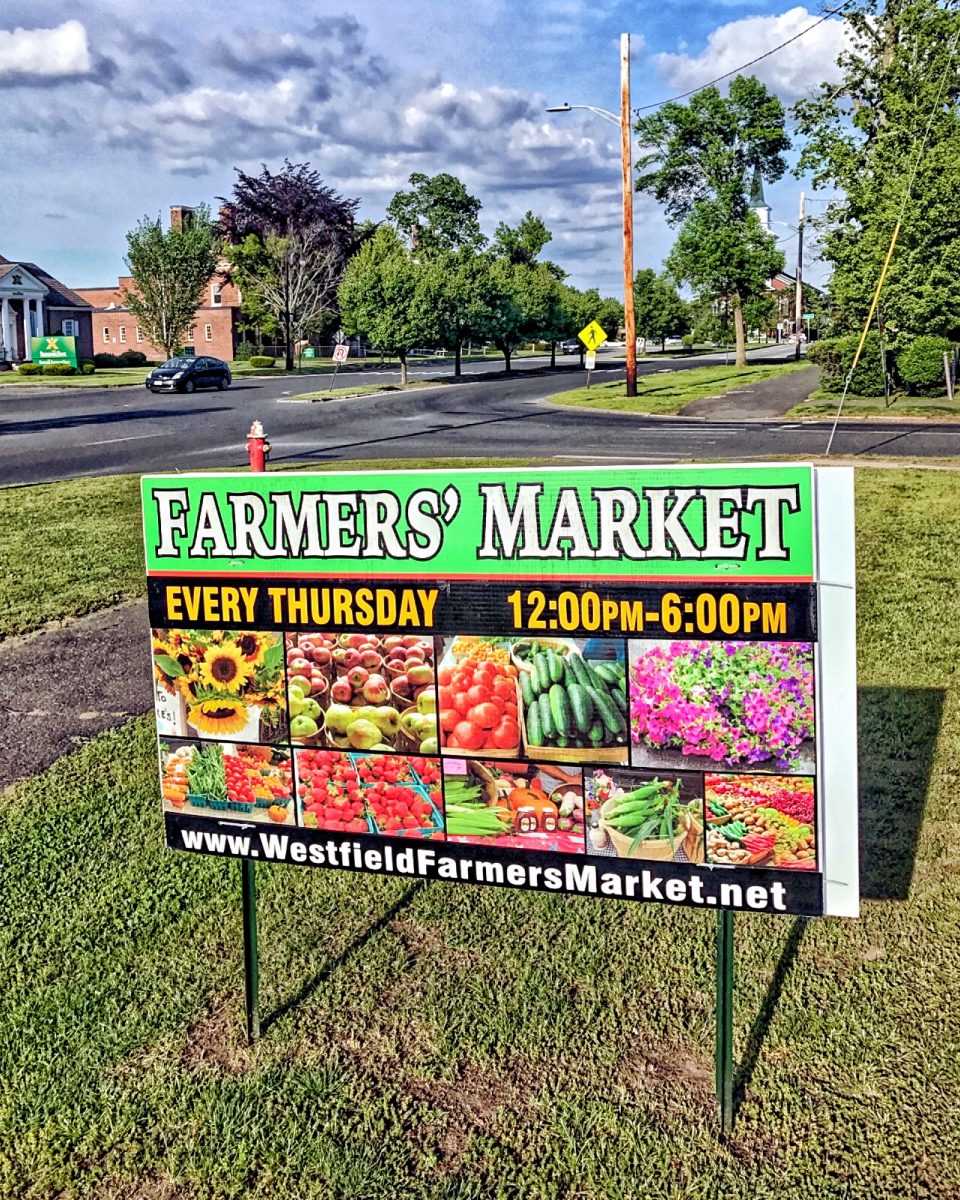 Westfield Farmers’ Market The Westfield News