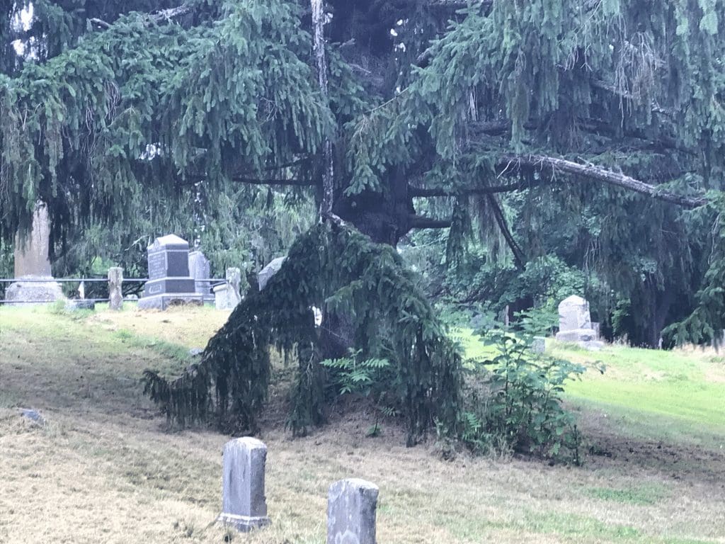 Restoration planned for Southwick Old Cemetery The Westfield News August 14, 2018