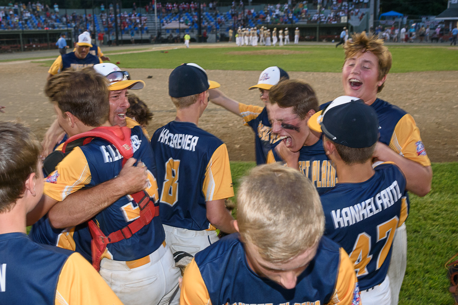 Just a great team effort': Fargo secures North Dakota's first Little League  World Series appearance - InForum