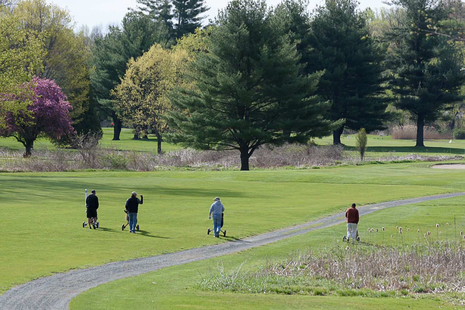 Golfers at Tekoa Country Club head out for a game Friday.