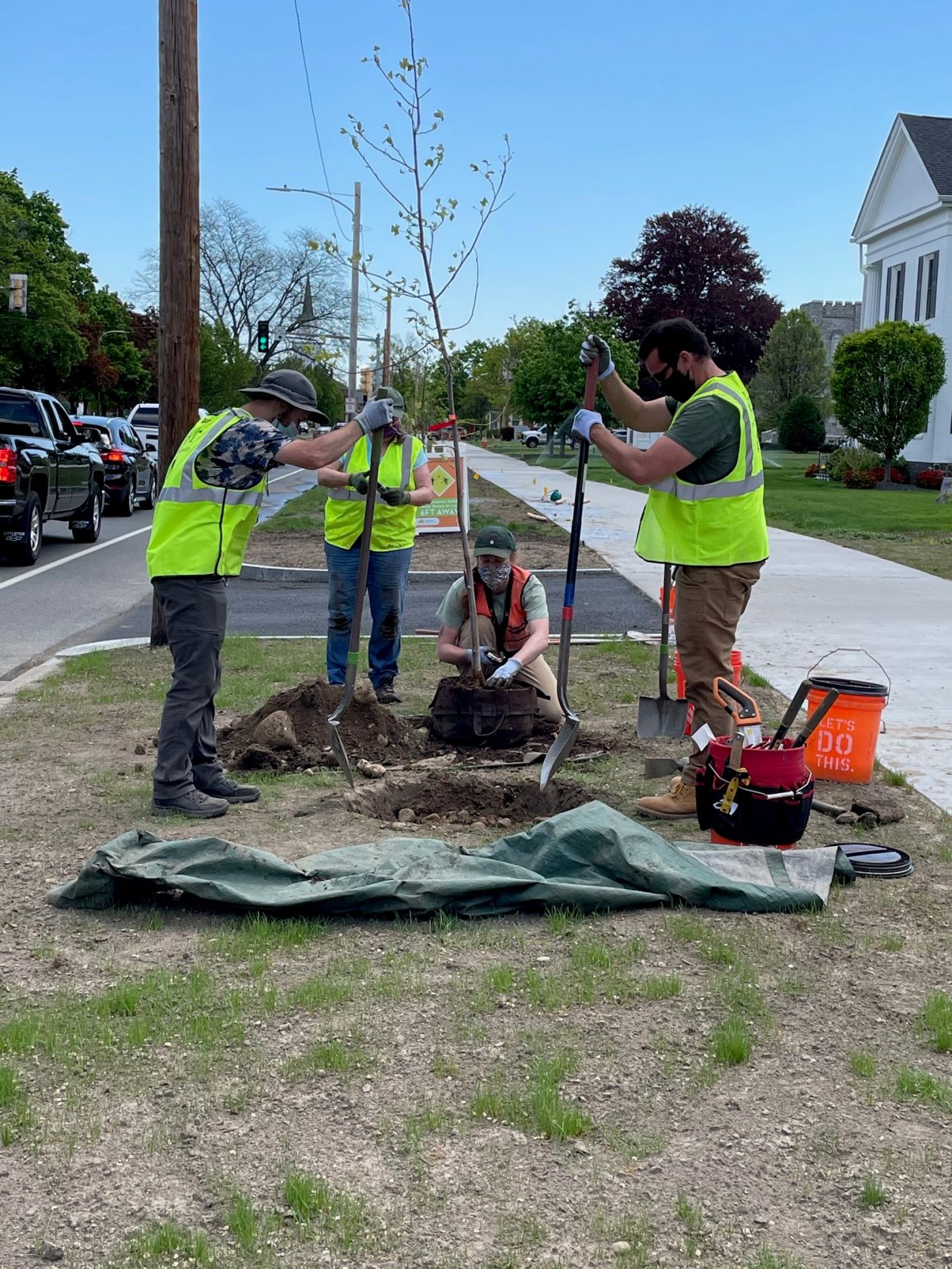 Tree planting program begins in Westfield | The Westfield News |May 15 ...